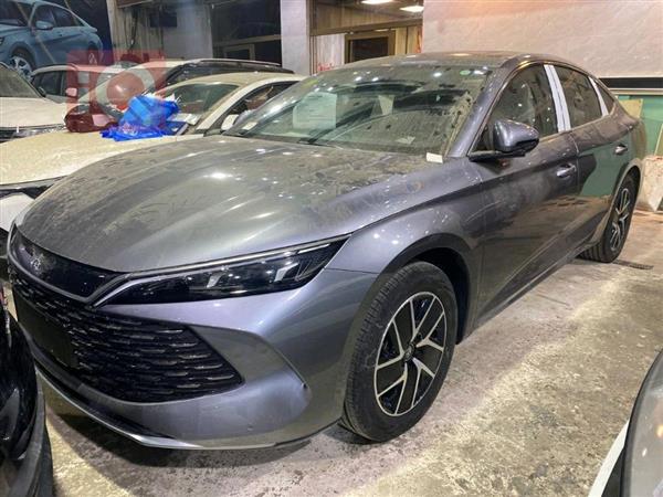 بي واي دي كوين L DM-i 2025 للبيع في العراق -  بغداد